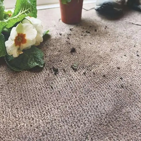 Eco-Friendly Soft Washable Mat and Runner - Rugs