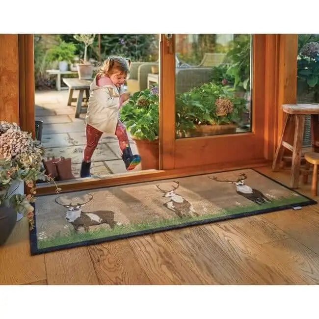 Eco-Friendly Washable Animals Mat - Doormat