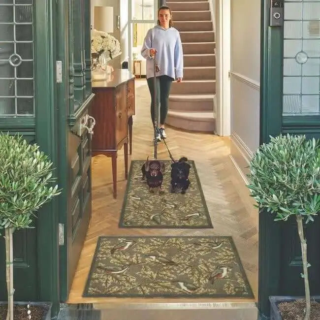 Eco-Friendly Washable Birds Mat - Doormat