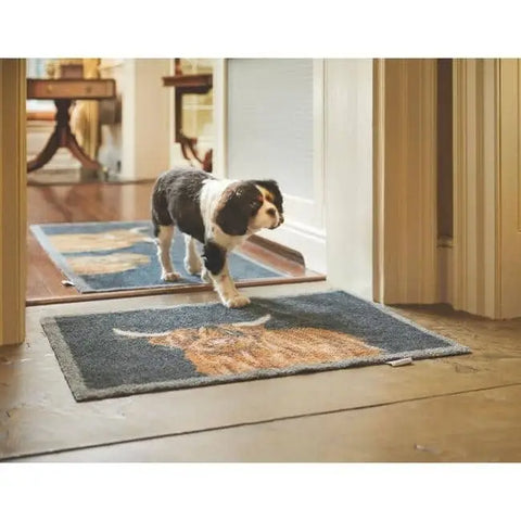 Eco-Friendly Washable Cow Mat - Rugs
