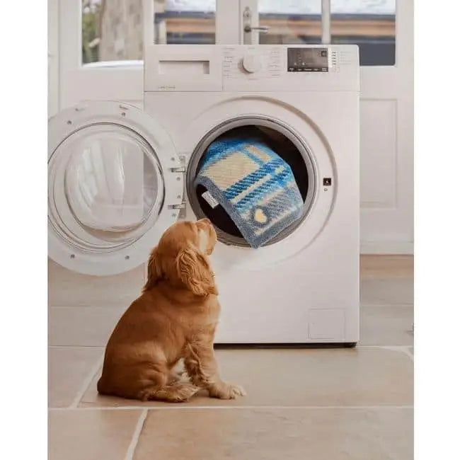 Eco-Friendly Washable Geometric Mat - Doormat