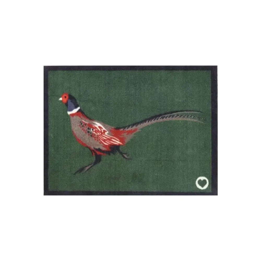 Eco-Friendly Washable Green Peasant Mat - 50X75 cm - Doormat