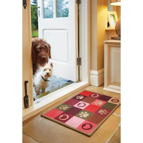 Eco-Friendly Washable Heart Pet Mat - Doormat