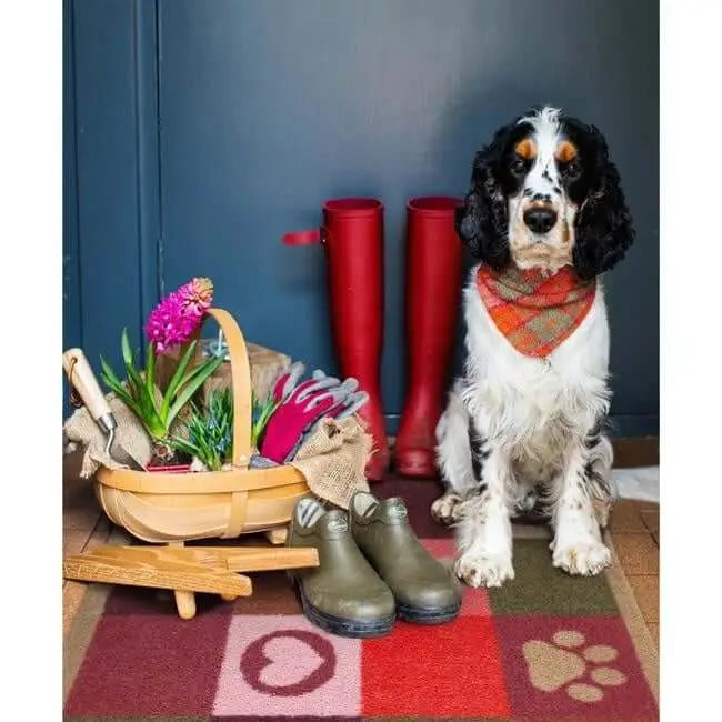 Eco-Friendly Washable Heart Pet Mat - Doormat