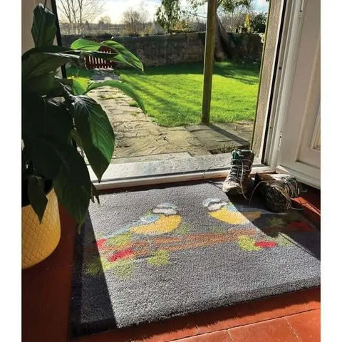 Eco-Friendly Washable Home and Animal Mat – 65X85 cm - Doormat