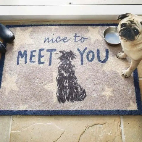 Eco-Friendly Washable Home and Animal Mat – 65X85 cm - Doormat