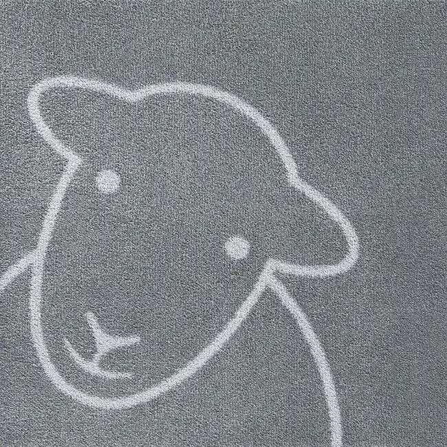 Eco-Friendly Washable Home and Animal Mat – 65X85 cm - Doormat