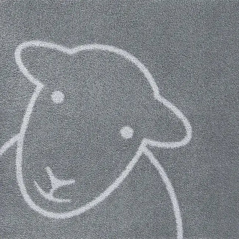 Eco-Friendly Washable Home and Animal Mat – 65X85 cm - Doormat