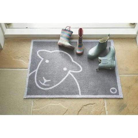 Eco-Friendly Washable Home and Animal Mat – 65X85 cm - Doormat