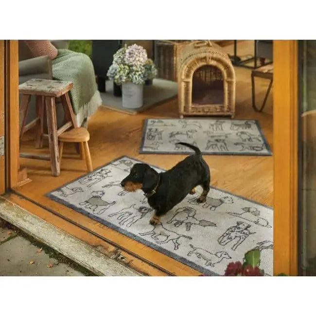 Eco-Friendly Washable Pet Mat - Doormat