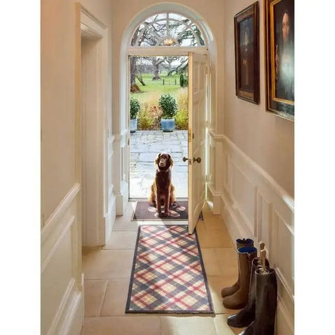 Eco-Friendly Washable Pet Mat - Doormat