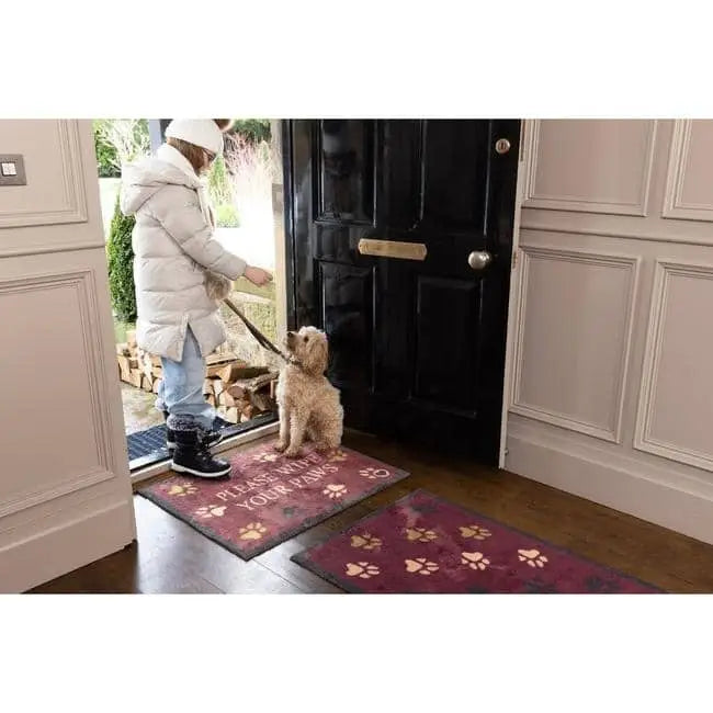Eco-Friendly Washable Pet Runner and Mat - Doormat