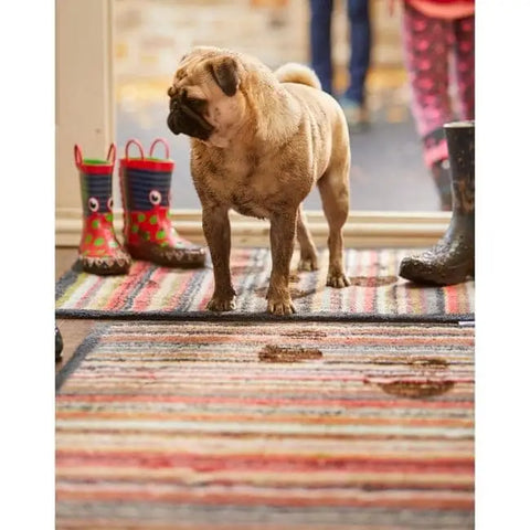 Eco-Friendly Washable Striped Mat - Doormat