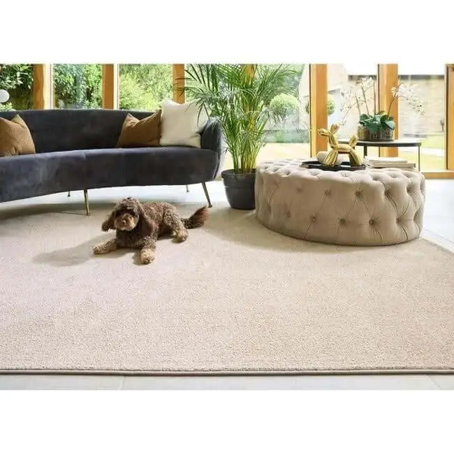 Eco-Washable Rugs Plain Design - Rugs