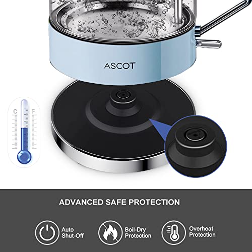 Light blue ascot glass electric kettle with borosilicate glass body and stainless steel lid for fast boiling