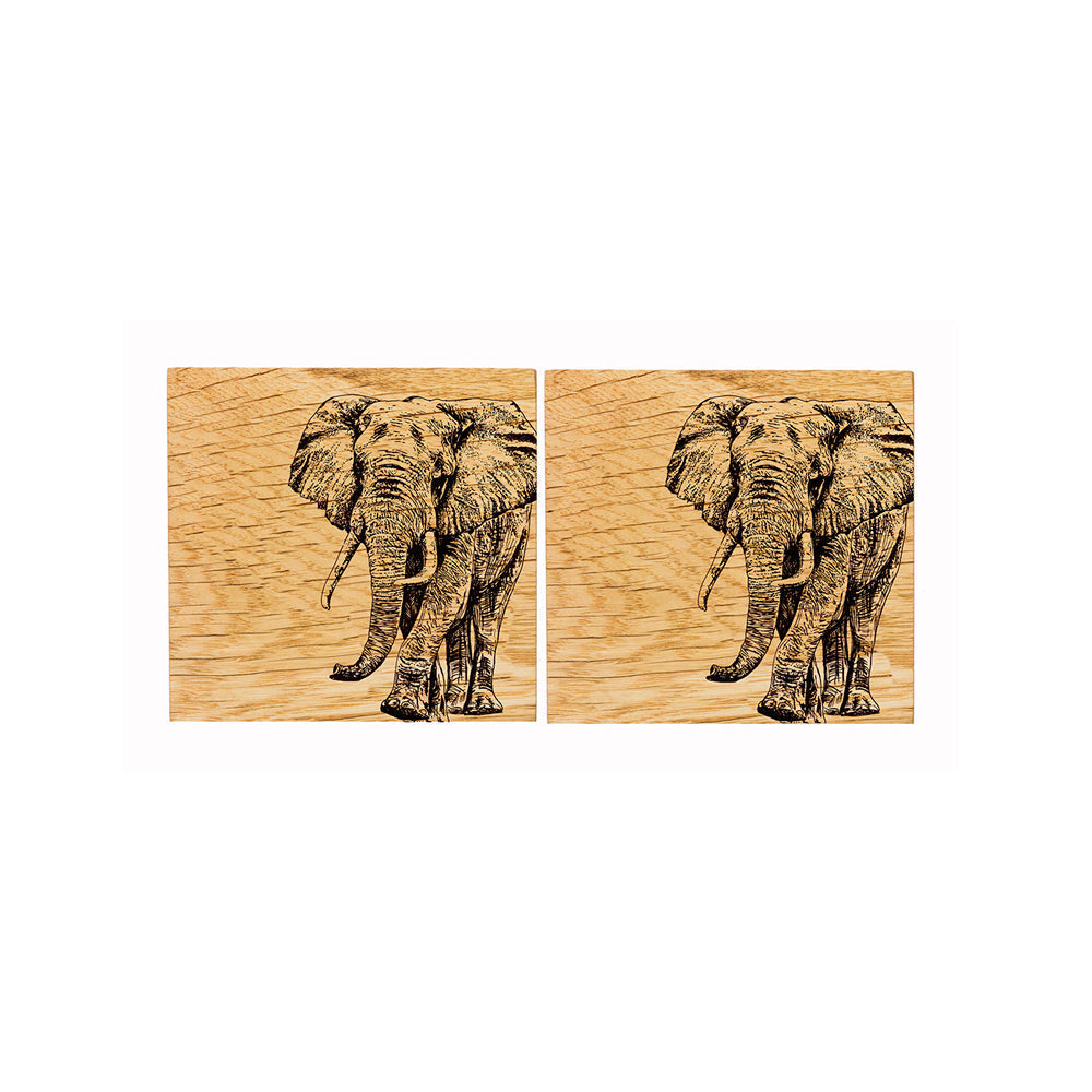 Two british oak coasters featuring detailed black burned elephant illustrations on a light wood grain surface
