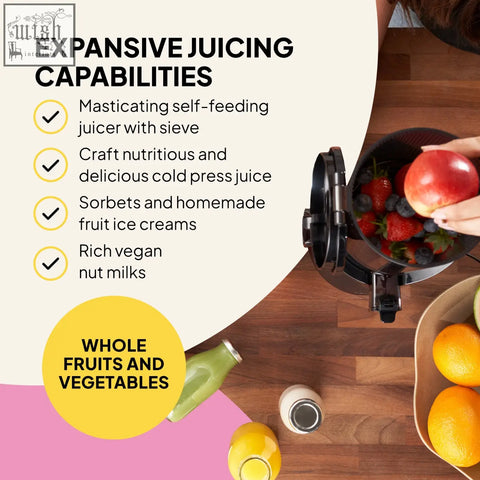 Black masticating self feeding fruit juicer f2500 with sieve for whole fruit juicing use