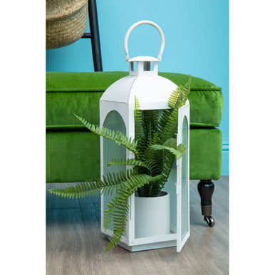 Farol white wash large lantern made of mild steel with frosted glass housing a potted fern inside