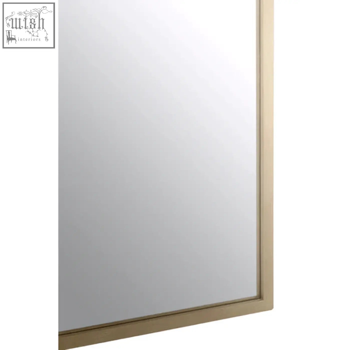 A sleek rectangular farran bird wall mirror with a thin gold-toned metal frame showcasing modern wall mirror features