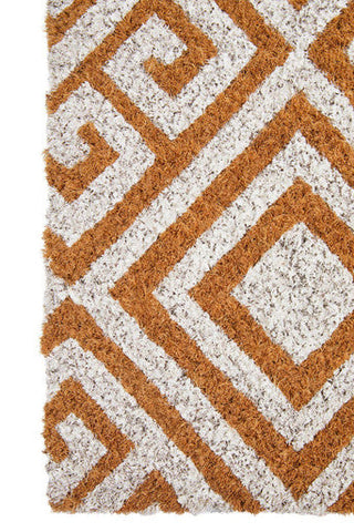 Filta coir geometric design doormat in burnt orange and gray with textured raised fuzzy borders