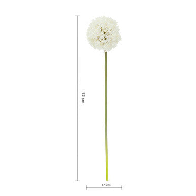 Fiori Ivory Allium Flower Stem