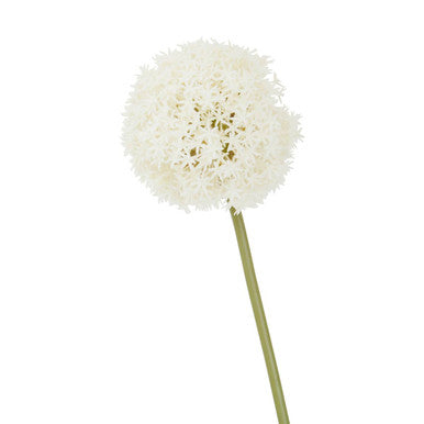 Fiori Ivory Allium Flower Stem