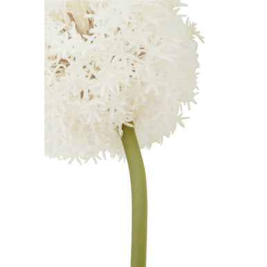 Fiori Ivory Allium Flower Stem