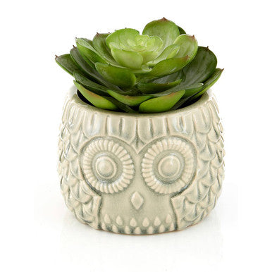 A light gray ceramic owl pot with a green succulent growing inside perfect for home decor use