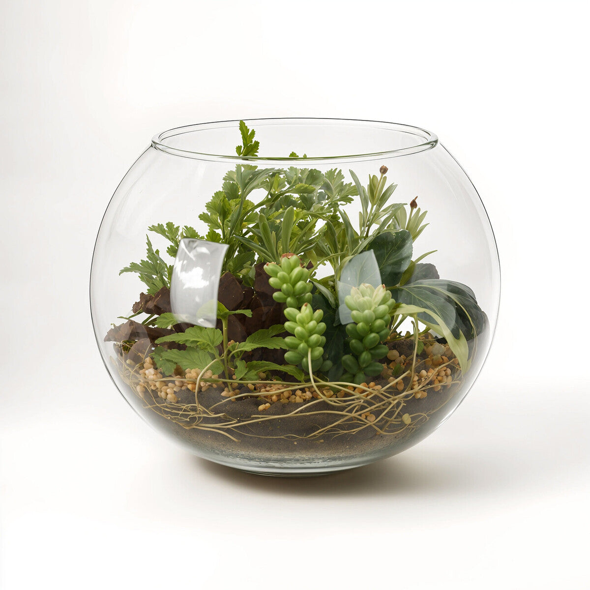 Clear glass fiori large terranium filled with green foliage, small succulents, soil, and decorative gravel