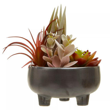 Dark gray ceramic pot with three legs holding mixed succulents in pink green and red shades