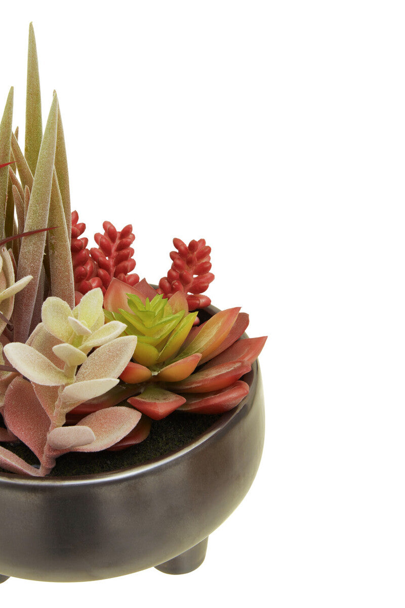A dark metallic bowl with mixed succulents in red green and cream complements the grey ceramic pot perfectly
