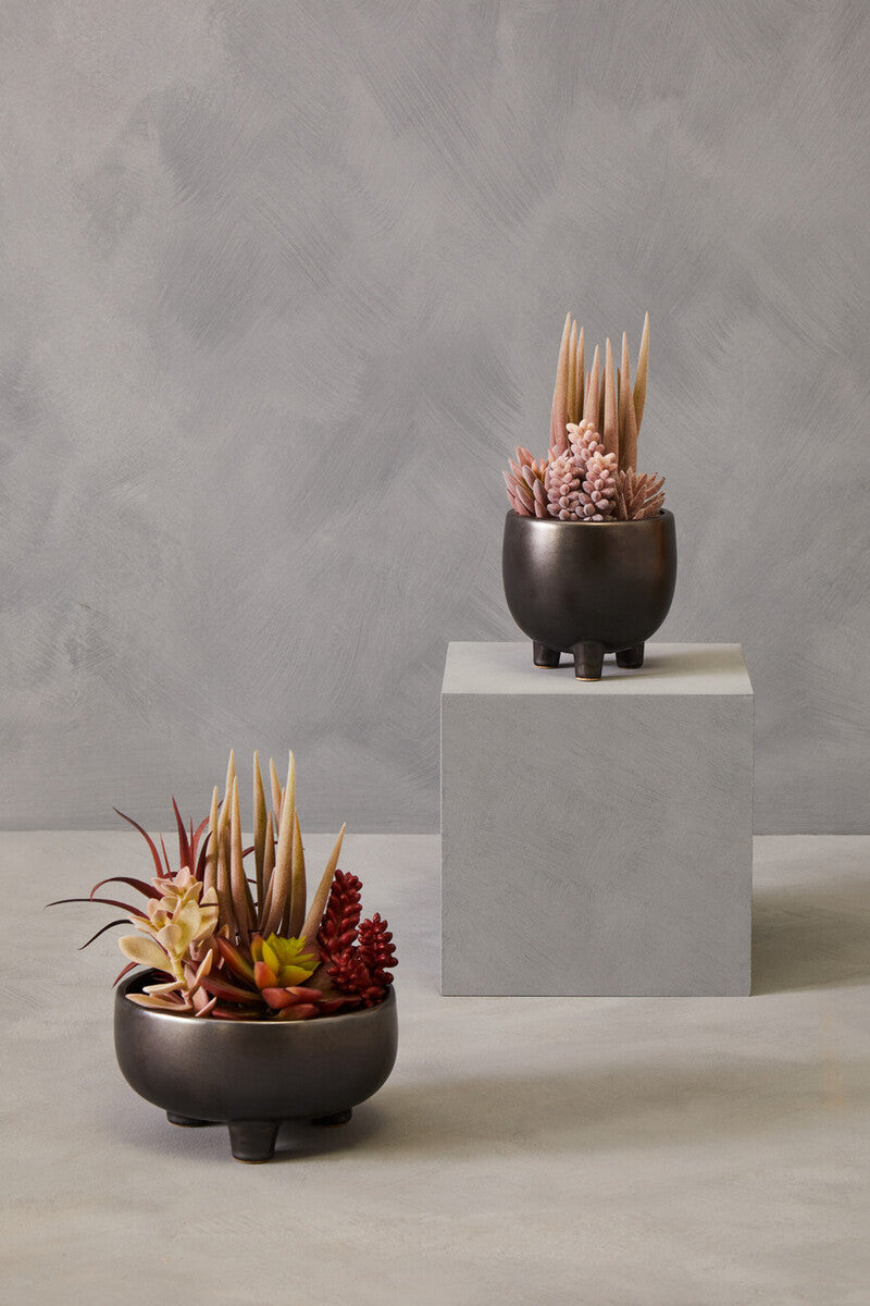 Dark bronze ceramic planters with mixed succulents in grey ceramic pot featuring dried succulents and spiky plants