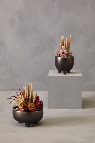 Dark bronze ceramic planters with mixed succulents in grey ceramic pot featuring dried succulents and spiky plants