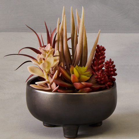 A dark metallic bowl with three legs holds vibrant mixed succulents in red and yellow in a grey ceramic pot