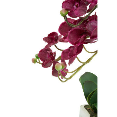 A vibrant fiori purple orchid with glossy magenta petals in a sleek silver pot for home decor