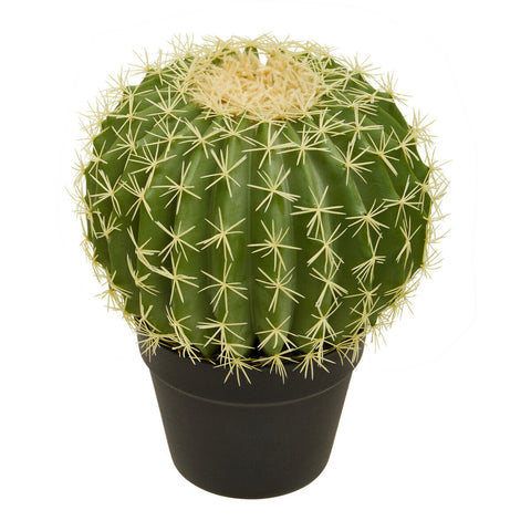 Fiori Round Cactus in Pot