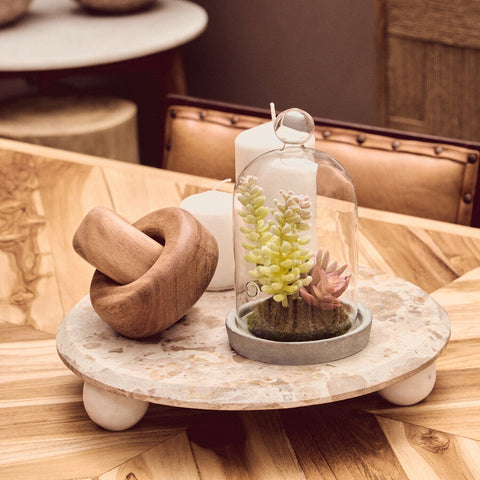 Fiori Small Succulent Dome With Cement Base
