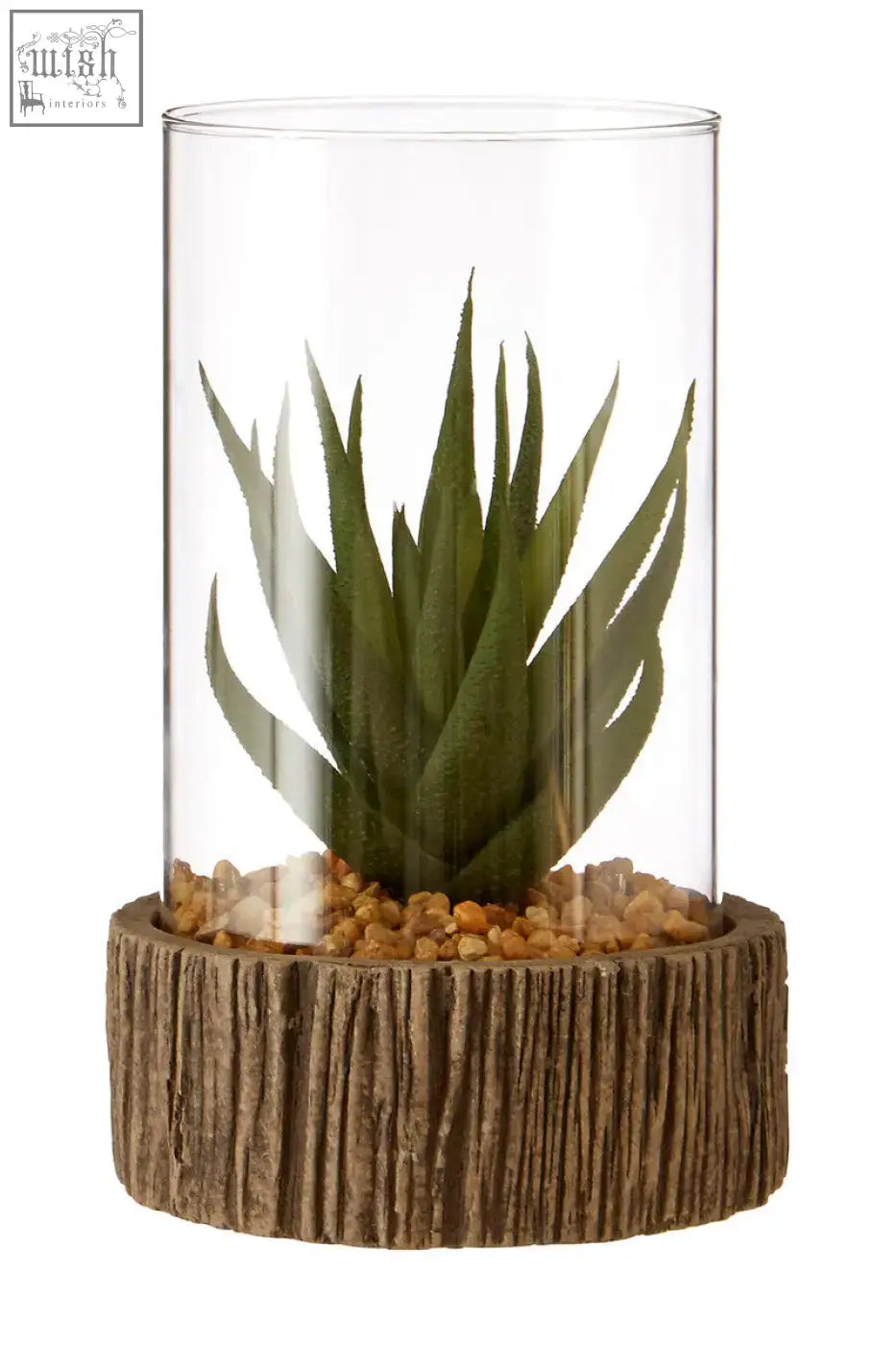 A clear glass terrarium with a green succulent and natural stone base in a faux wood holder