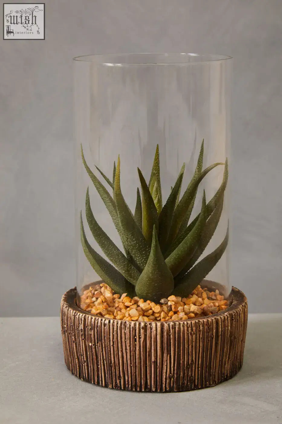 A green succulent plant in a clear glass container with a natural stone base on a rustic wooden stand