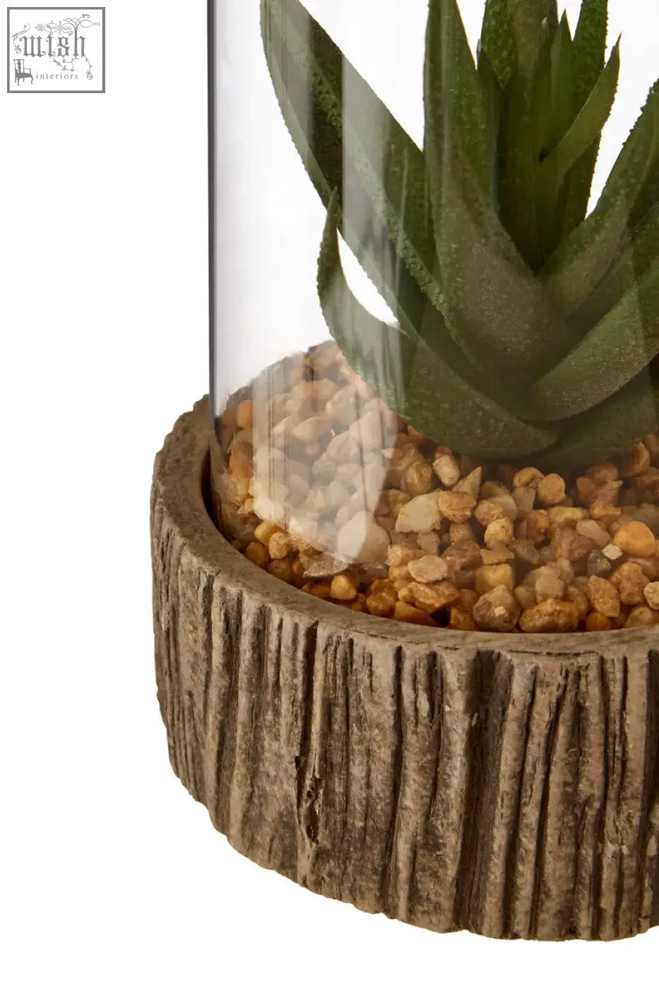 A rustic brown tree-stump planter with a clear glass dome housing a green succulent on a natural stone base