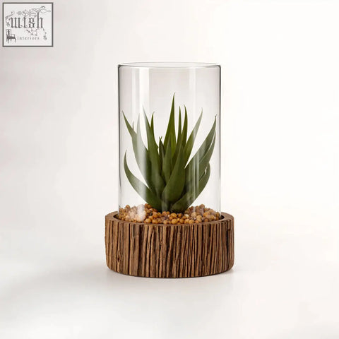A sleek glass terrarium with a vibrant green succulent and natural stone base on rustic wooden stand