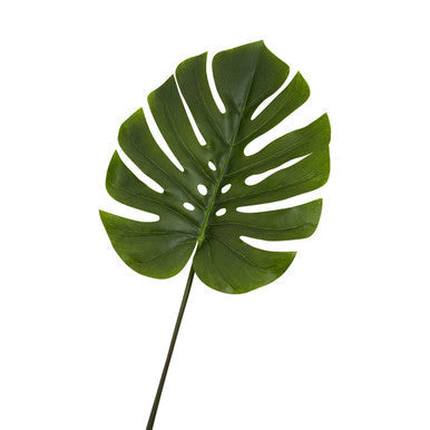 Fiori Tall Monstera Palm Stem