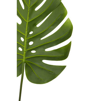 Fiori Tall Monstera Palm Stem