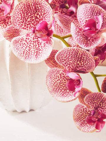 Fiori Tall Pink Orchid Spray Flower Stem