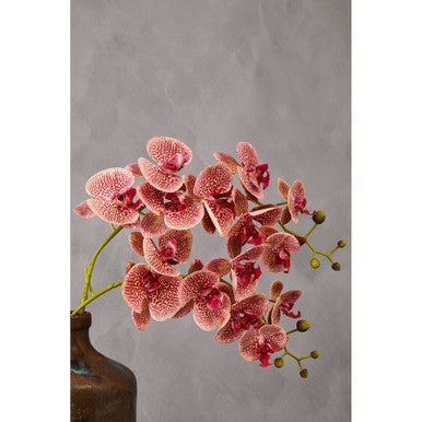 Fiori Tall Pink Orchid Spray Flower Stem