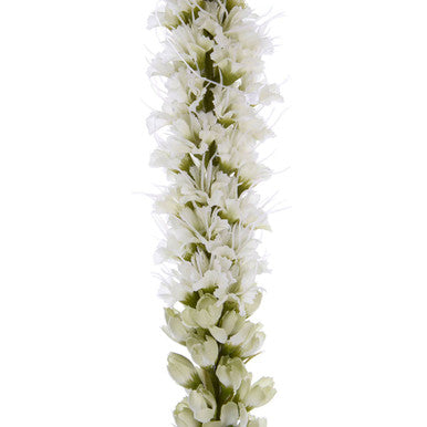 Fiori White Blazing Star Flower Stem