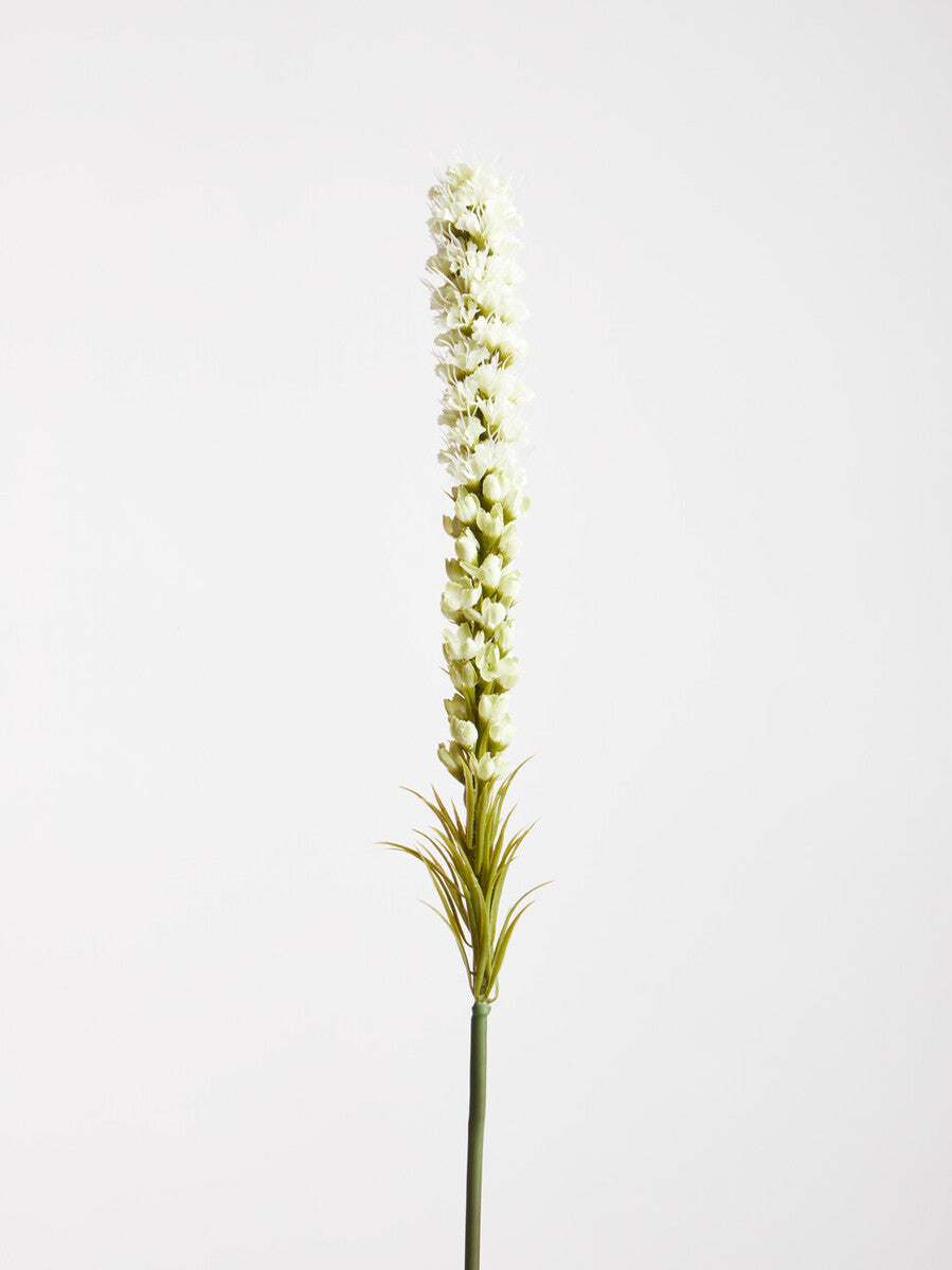 Fiori White Blazing Star Flower Stem