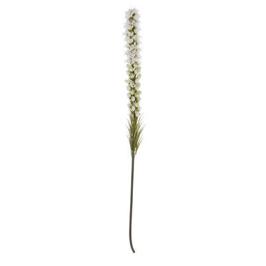 Fiori White Blazing Star Flower Stem