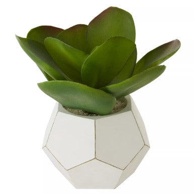 A fiori white cement pot holding a green artificial succulent with broad slightly curved leaves for decoration