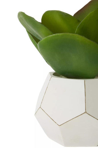 White geometric fiori white cement pot with a green succulent perfect as a cement pot succulent decor piece